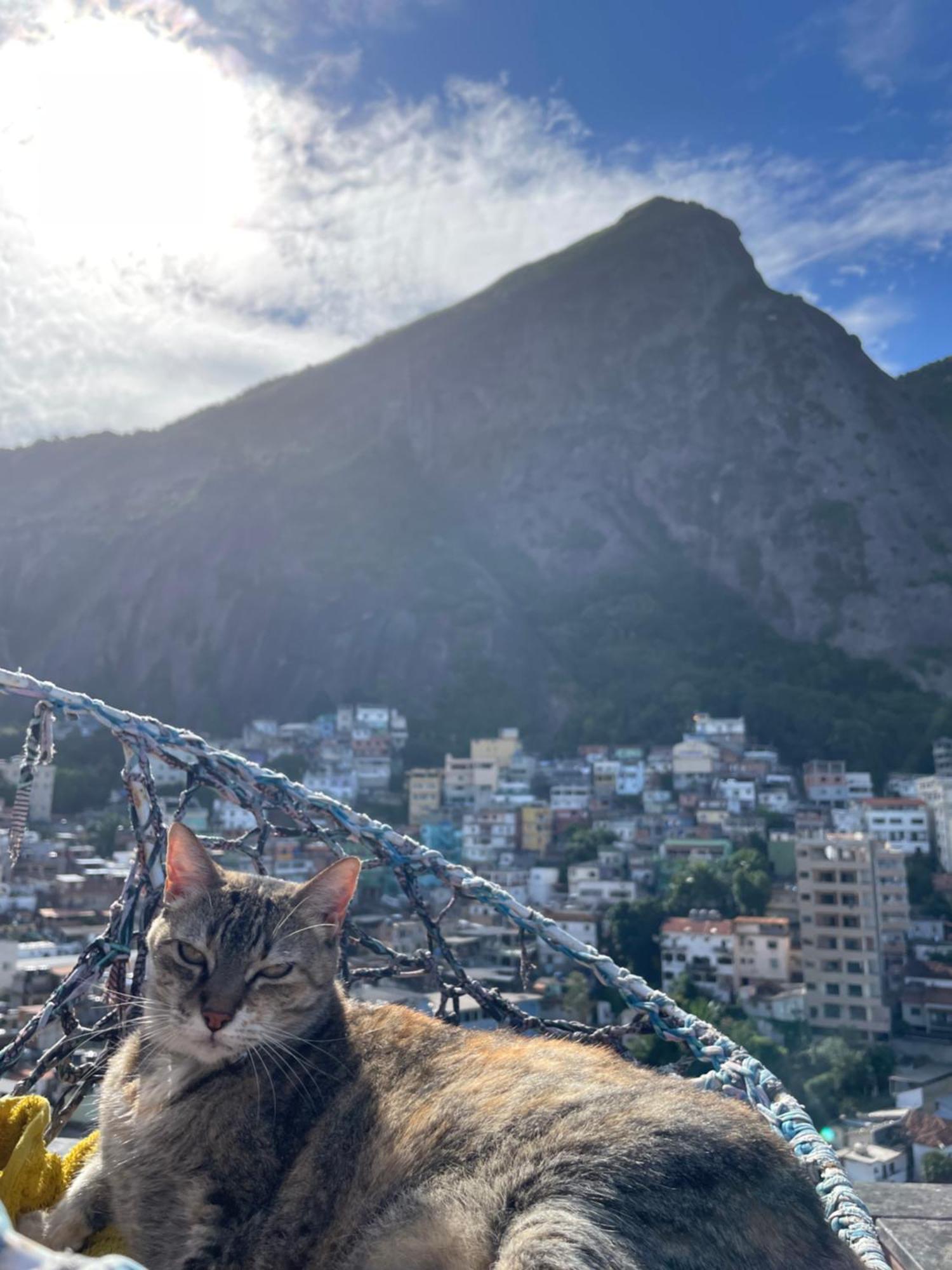 Albergue Bella Vista Vidigal Río de Janeiro Exterior foto